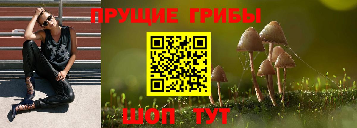 Галлюциногенные грибы MAGIC MUSHROOMS  Галлюциногенные грибы Cubensis  Вход с VPN  Кузнецк 